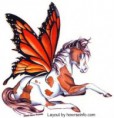 /album/kepeim/horse-2-jpg/