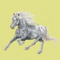 /album/kepeim/a100023095-miniature-jpg/