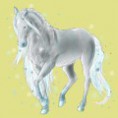 /album/kepeim/a100023339-miniature-jpg/