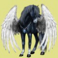 /album/kepeim/a100028095-miniature-jpg/