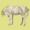 /album/kepeim/a100043618-miniature-jpg/