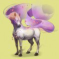 /album/kepeim/zephyr-jpg/