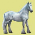 /album/kepeim/grey-0-jpg/