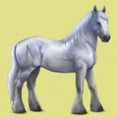 /album/kepeim/grey-1-jpg/
