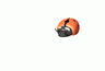/album/smile-k/a1181032623-gif/