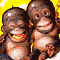 /album/smile-k/a1181032935-gif/