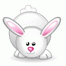 /album/smile-k/a1181032966-gif/